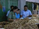 Pengambilan Sampel & Pemeriksaan Pengawet dan Pewarna